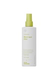 medium_fr_professional_blow-out-mist_250ml_01_1743068974-342e7b6f8995642511ba7c41abb30394.jpg